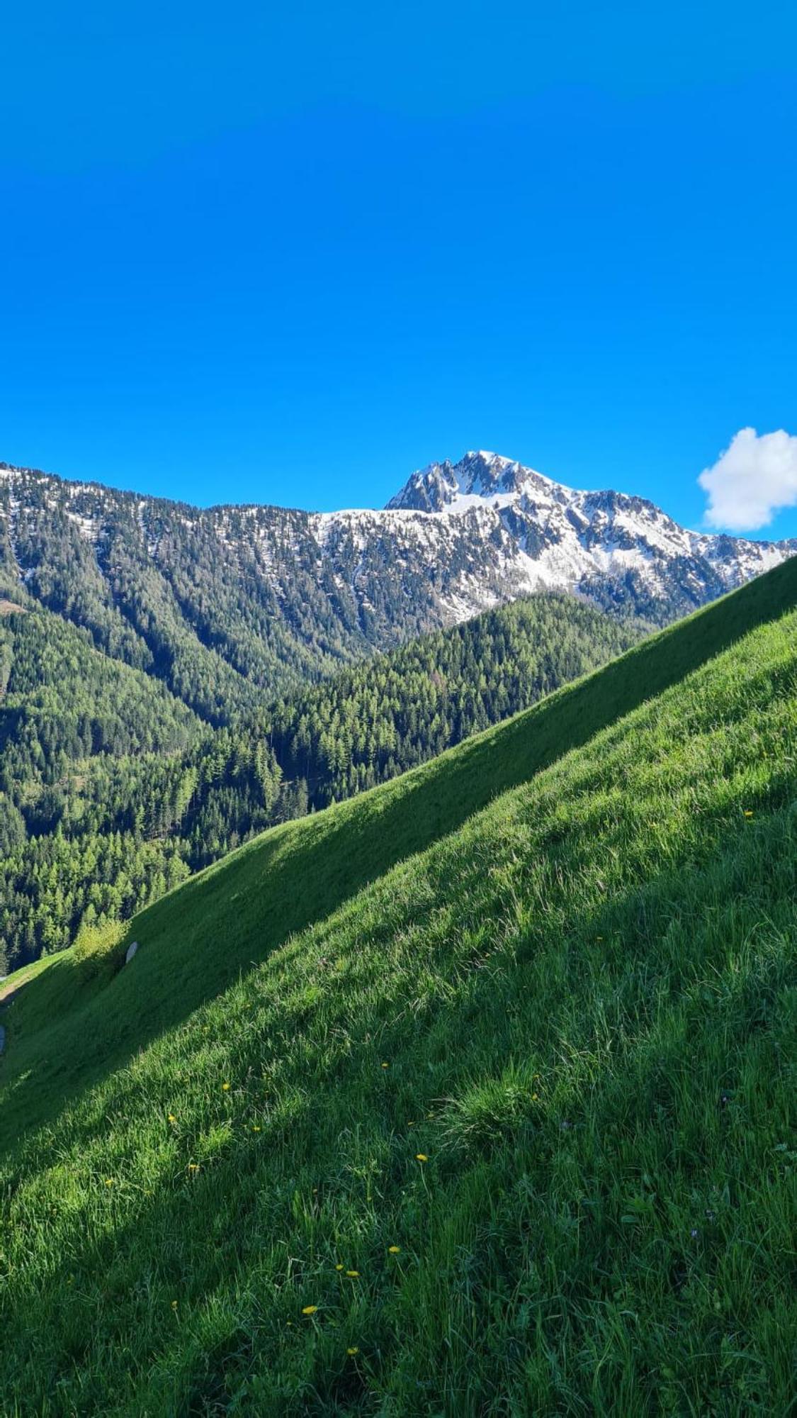 Gasserhof Campo di Trens Exteriér fotografie