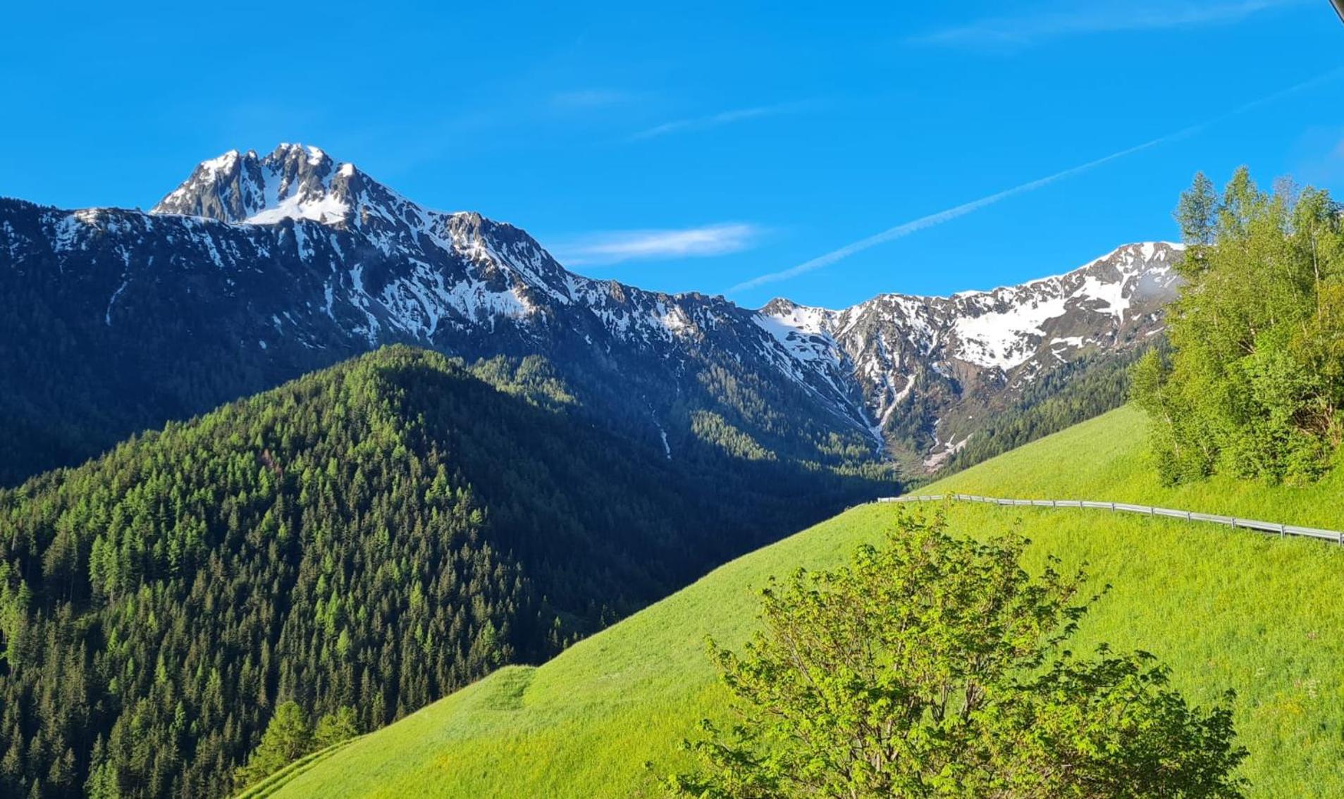 Gasserhof Campo di Trens Exteriér fotografie